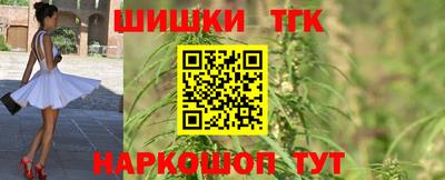 индика Бердск