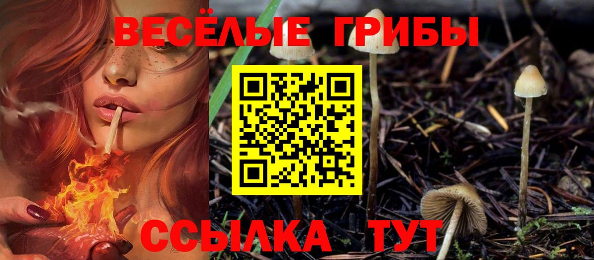 Галлюциногенные грибы мухоморы Нижний Тагил