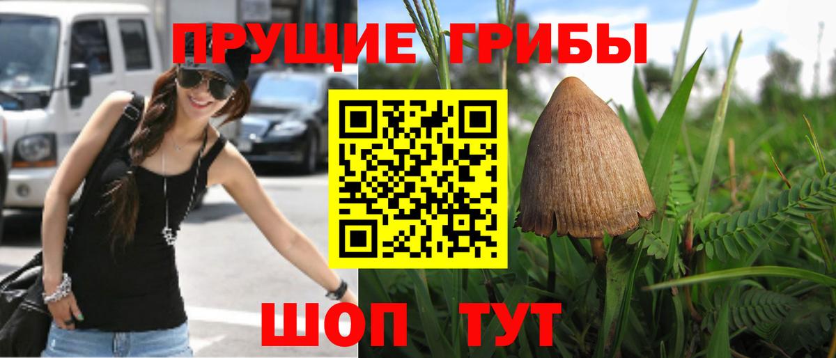 Псилоцибиновые грибы прущие грибы  Вход с VPN  Нижний Тагил 
